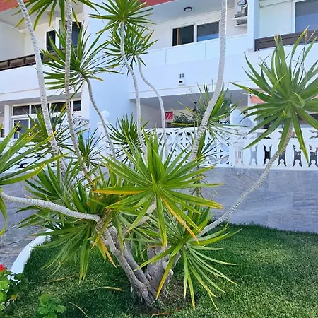 Casa vacanze Hdfm Collection - Royal Marine