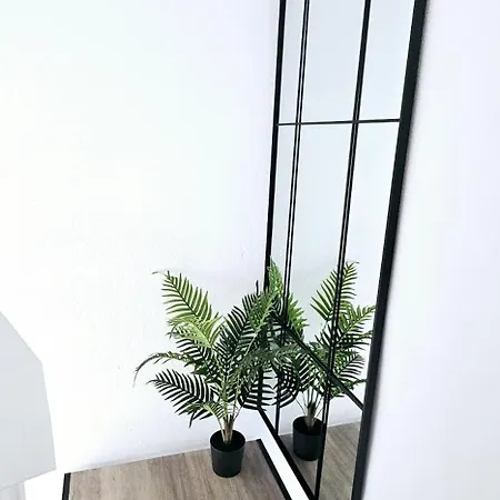 Hdfm Collection - Royal Marine